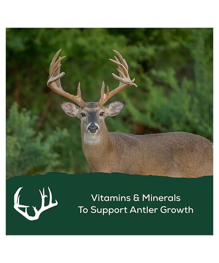 Record Rack Sportsman 20 – Protein Feed for Deer