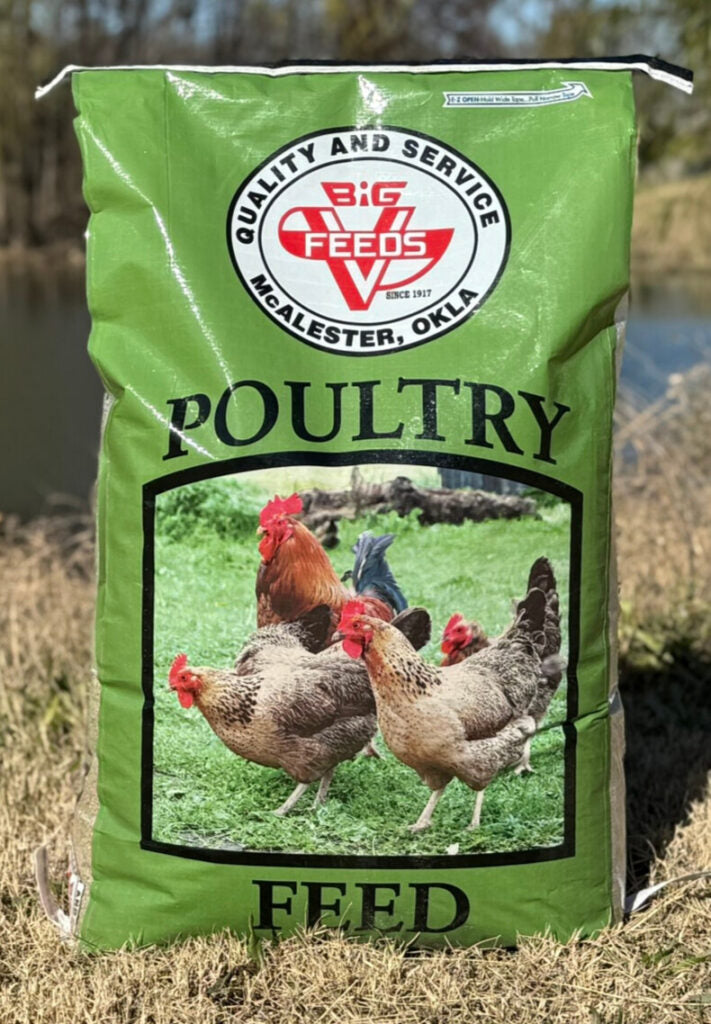 Big V 16% Egg Kernels 50Lb