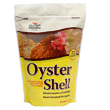 Oyster Shell