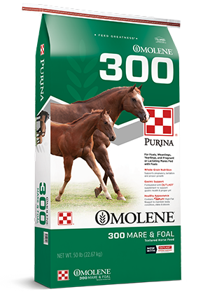 Purina Omolene 300 Growth