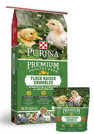 Purina Flock Raiser Crumbles