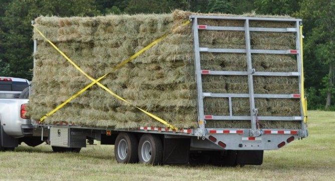 Benefits of Using Local Hay Delivery Near Me Services – Cook Feed & Outdoor