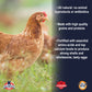 17% All Natural Layer Pellets for Chickens 50Lb