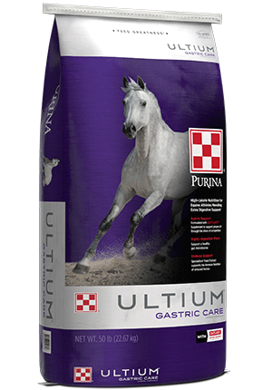 Purina Ultium Gastric Care 50Lb