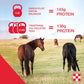Purina Enrich Plus 50LB