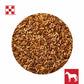 Purina Omolene 300 Growth