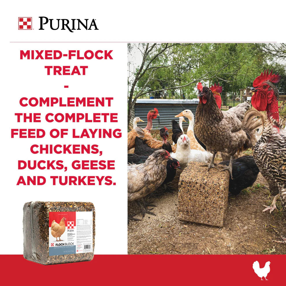 Purina Flock Block 25LB