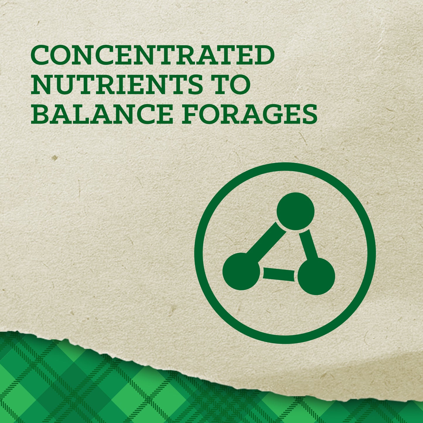 Nutrena Empower Topline Balance