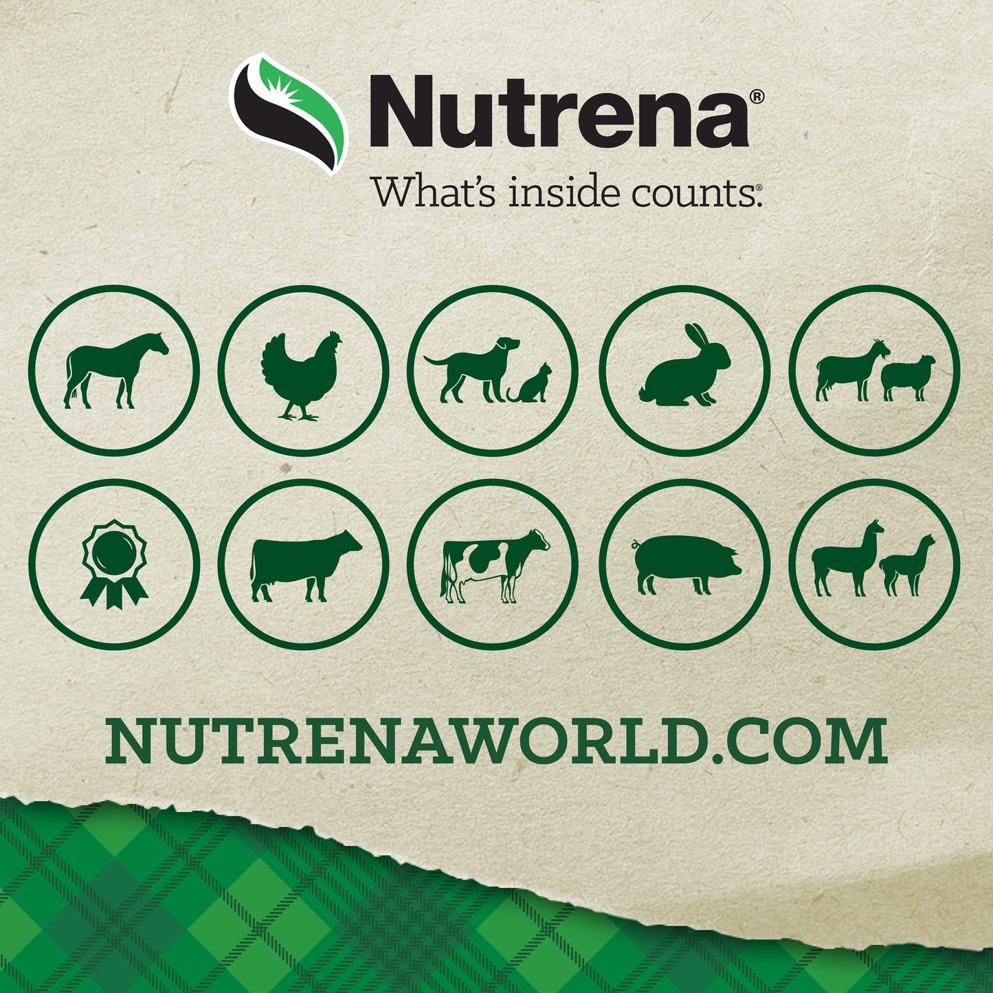 Nutrena ProForce Senior