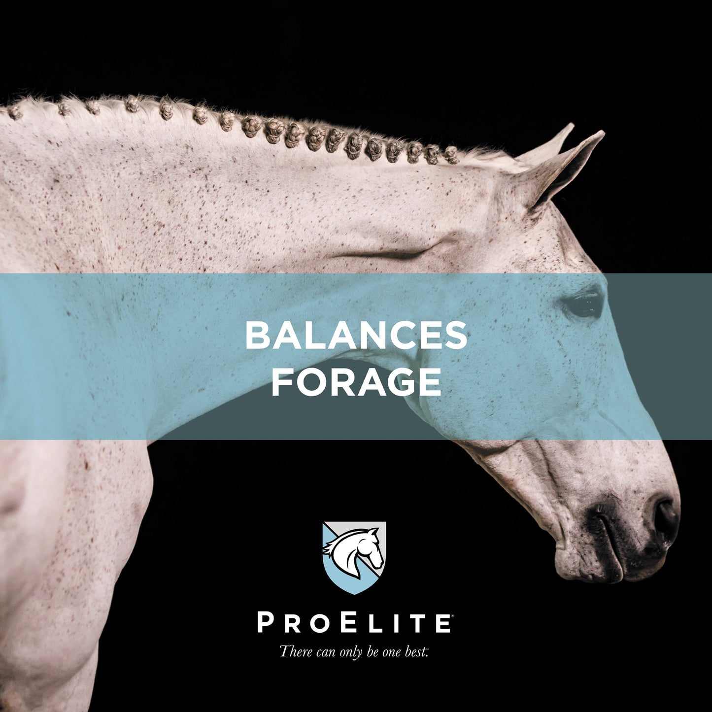 Nutrena ProElite Grass Advantage