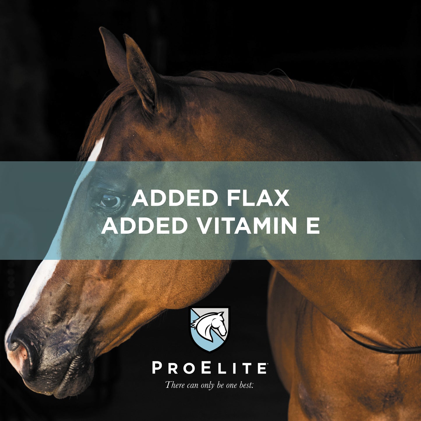 Nutrena ProElite Omega Advantage