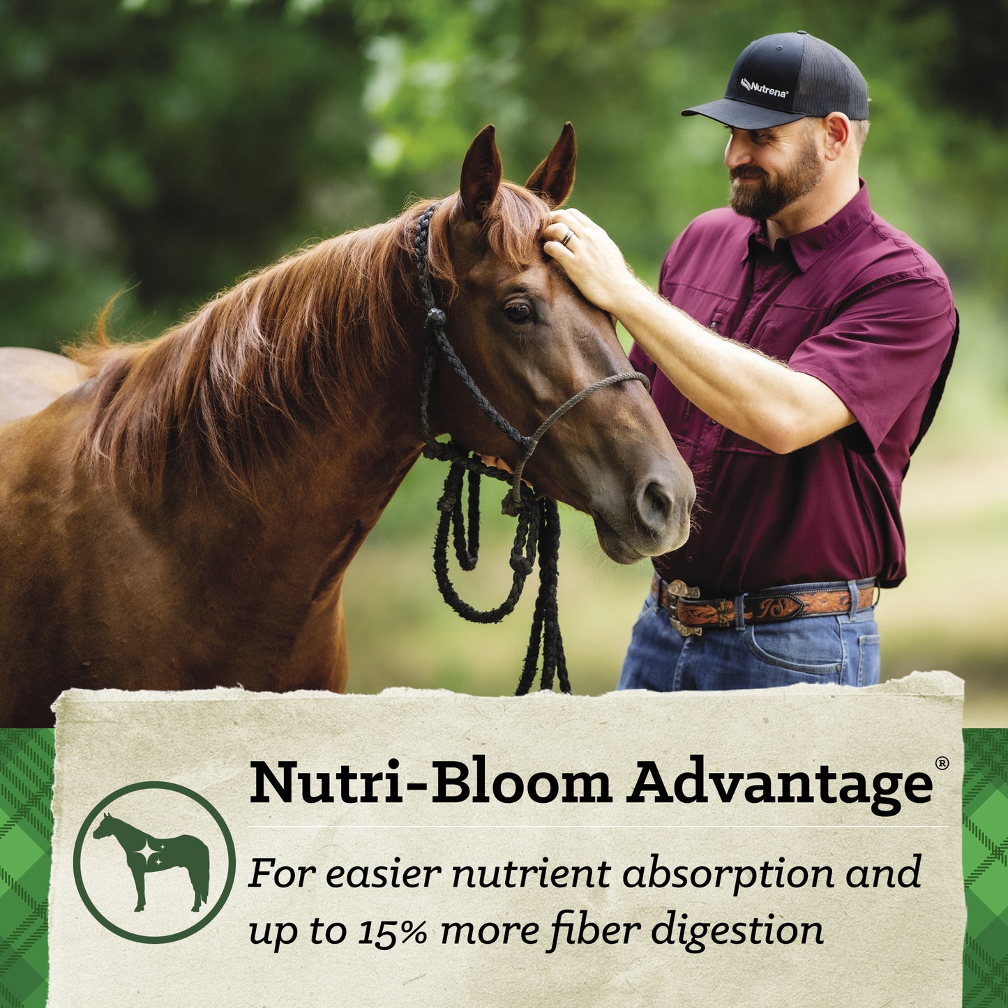 Nutrena Safechoice All Life Stages