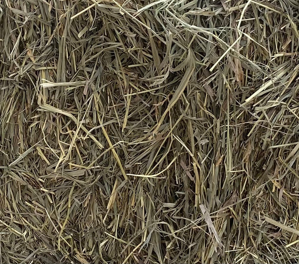 2-Strand Brome Hay – Clean Horse Hay by the Bale – Cook Feed & Outdoor