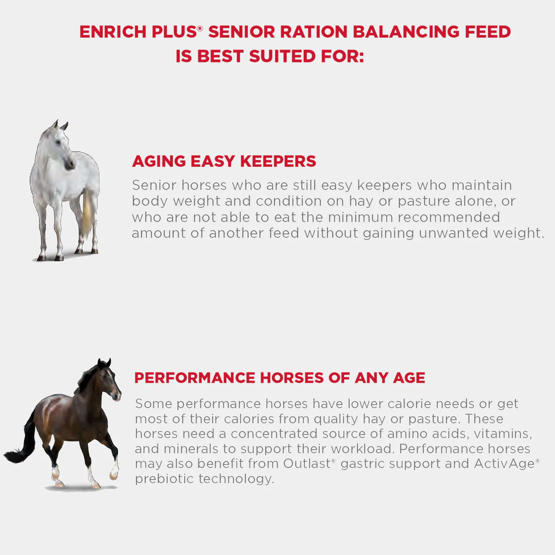 Purina Enrich Senior 50lb