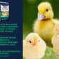 20% Flock Maker Pellet 50Lb