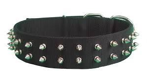 SPIKED DOG COLLAR