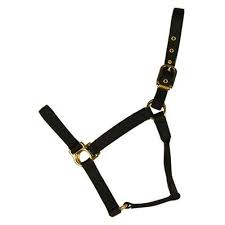 Valhoma Horse Halter