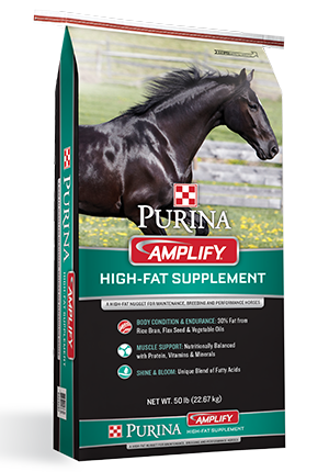 Purina Amplify | High-Fat Horse Supplement 50LB