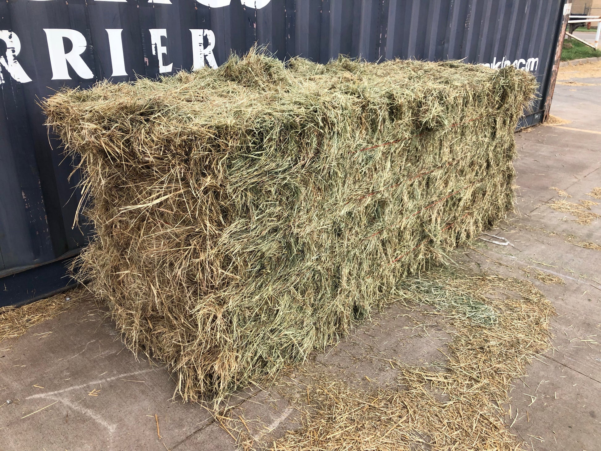 Bermuda Grass is a less expensive alternative to Orchard or Timothy hay for those horses that are fed grain or supplements.  With less protein than alfalfa, 8% - 10%, it is an excellent source of roughage for all types of livestock. 