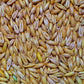 Whole Oats (Race Horse Oats) 50Lb