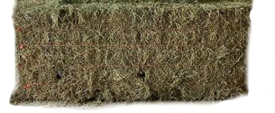 Our Alfalfa is recommended for horses that have a balanced exercise program; it is an excellent source of energy.