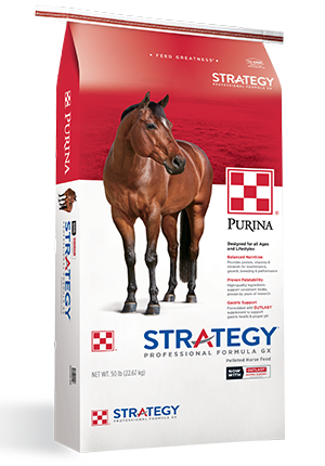 Purina Strategy Professional Formula GX Pelleted Horse Feed