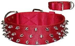 SPIKED DOG COLLAR