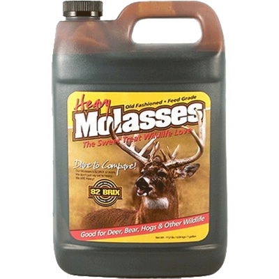 MOLASSES