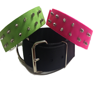 SPIKED DOG COLLAR