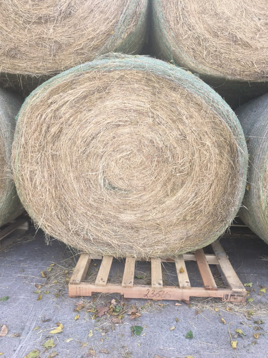 Our bermuda round bales weigh just under 1,000lbs. They are baled in the same pasture as our other high quality bermuda bales for horses.