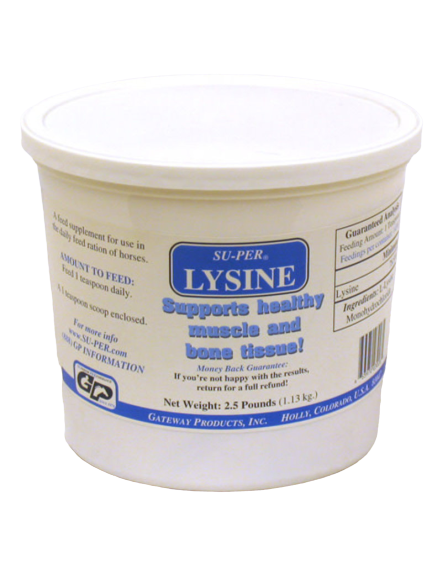 LYSINE