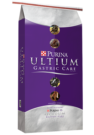 Purina Ultium Gastric Care 50Lb